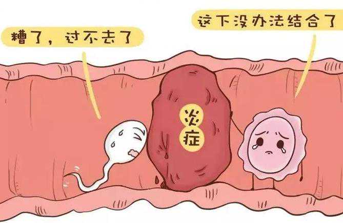 香港试管婴儿生双胞胎费用是多少,请问香港试管婴儿费用评估方法是怎样的？